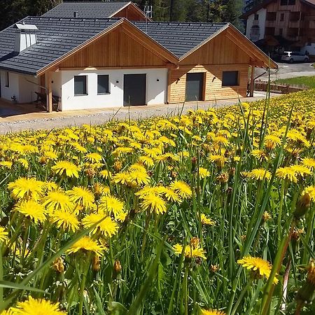 Chalet Soredl Antermoia Extérieur photo
