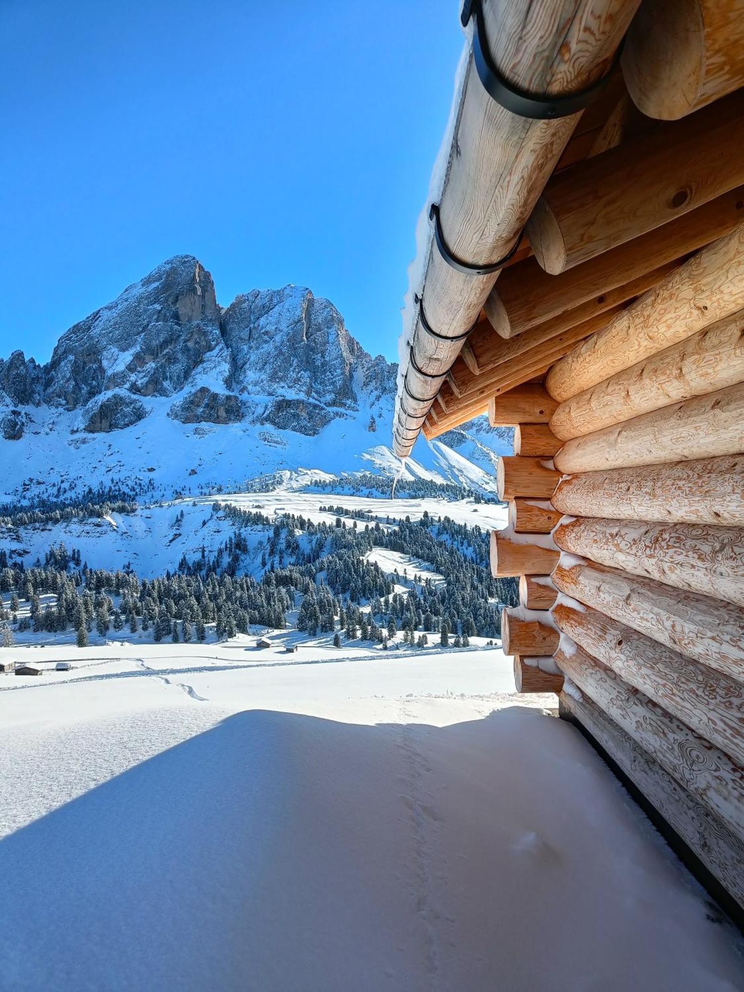 Chalet Soredl Antermoia Extérieur photo